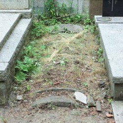 Źródło: https://cmentarze.um.warszawa.pl/pomnik.aspx?pom_id=33105 [dostęp: 6.10.2025].