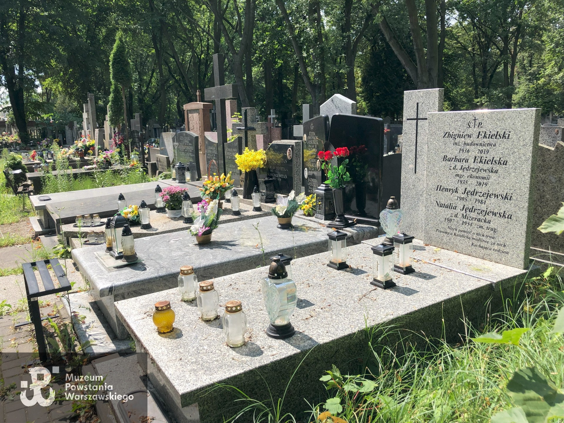 Źródło: Dorota Kotowska, Agnieszka Nowak.