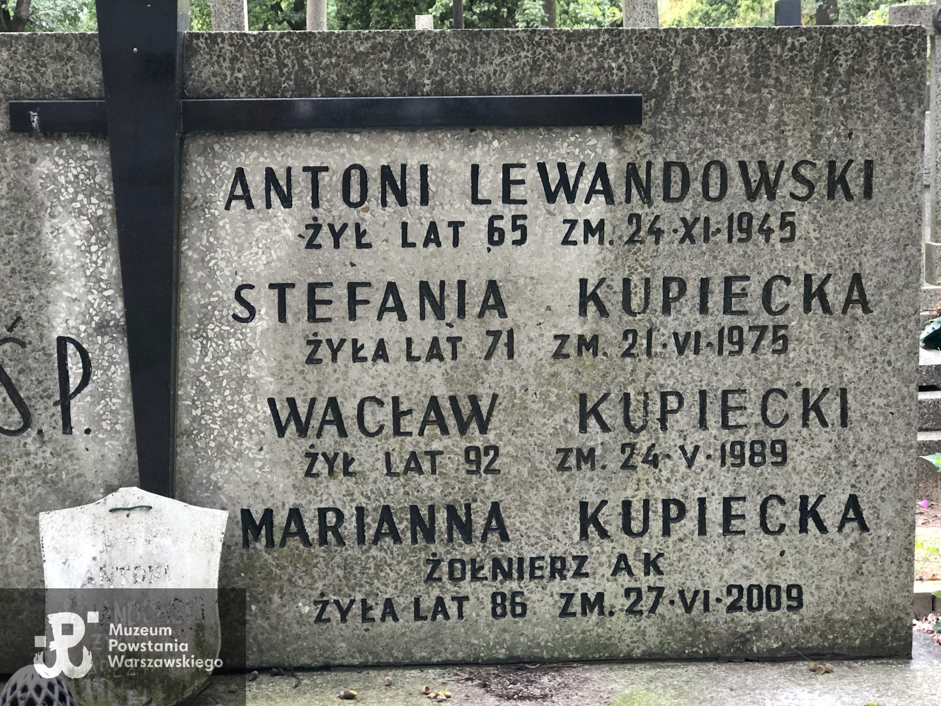 Źródło: Dorota Kotowska.