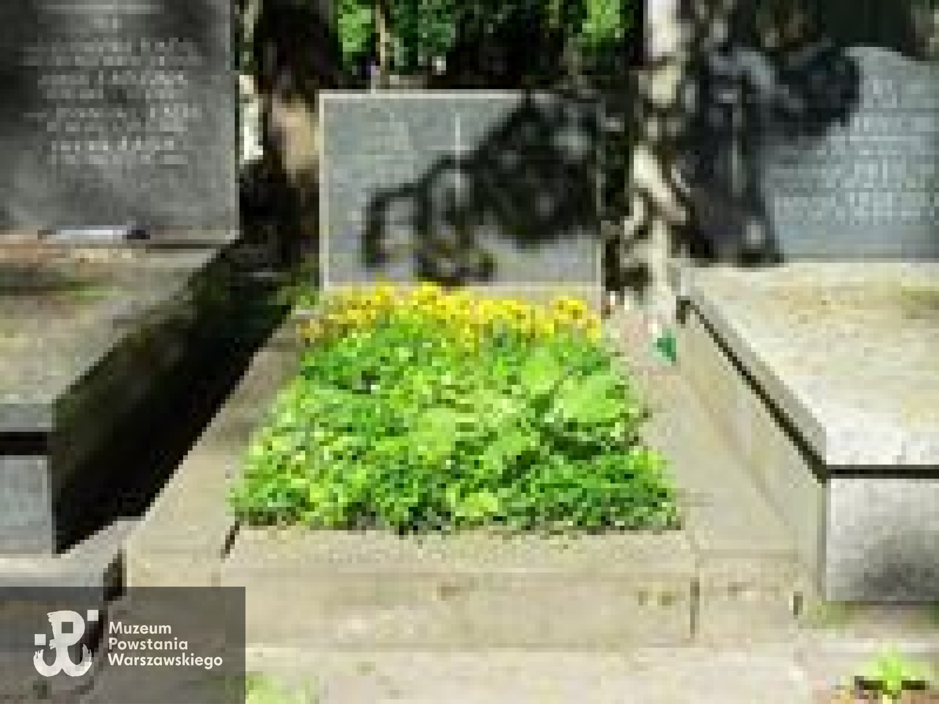Źródło: https://cmentarze.um.warszawa.pl/pomnik.aspx?pom_id=39466 [dostęp: 10.04.2025].