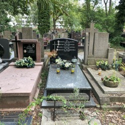 Źródło: Dorota Kotowska.