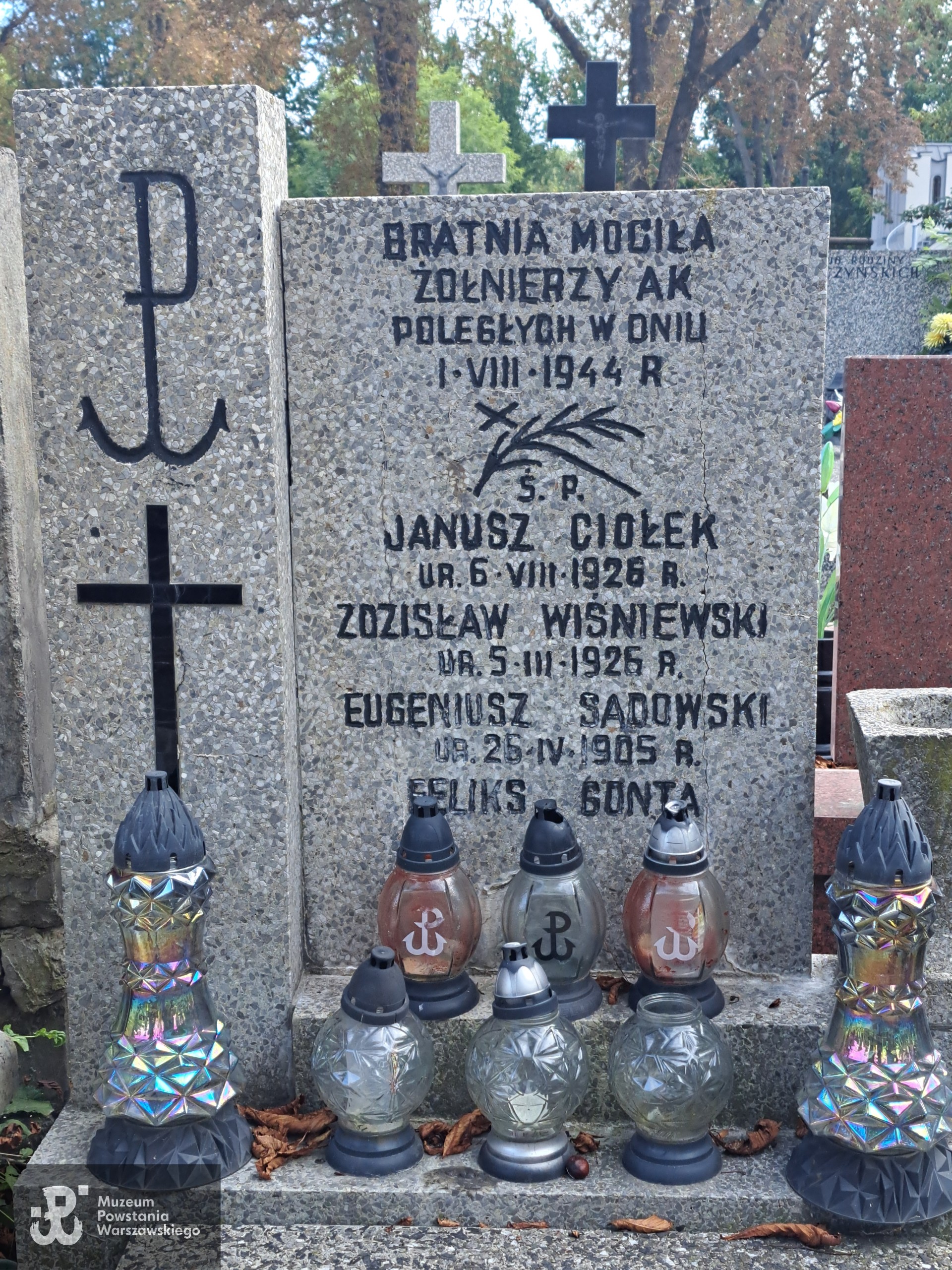 Źródło: Agnieszka Nowak.