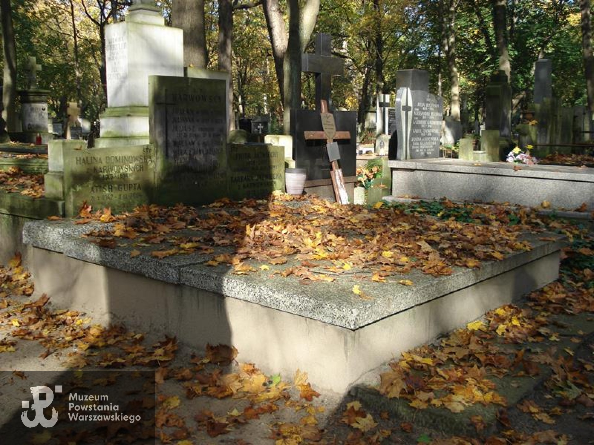 Źródło: https://cmentarze.um.warszawa.pl/pomnik.aspx?pom_id=48587 [dostęp: 9.04.2025].