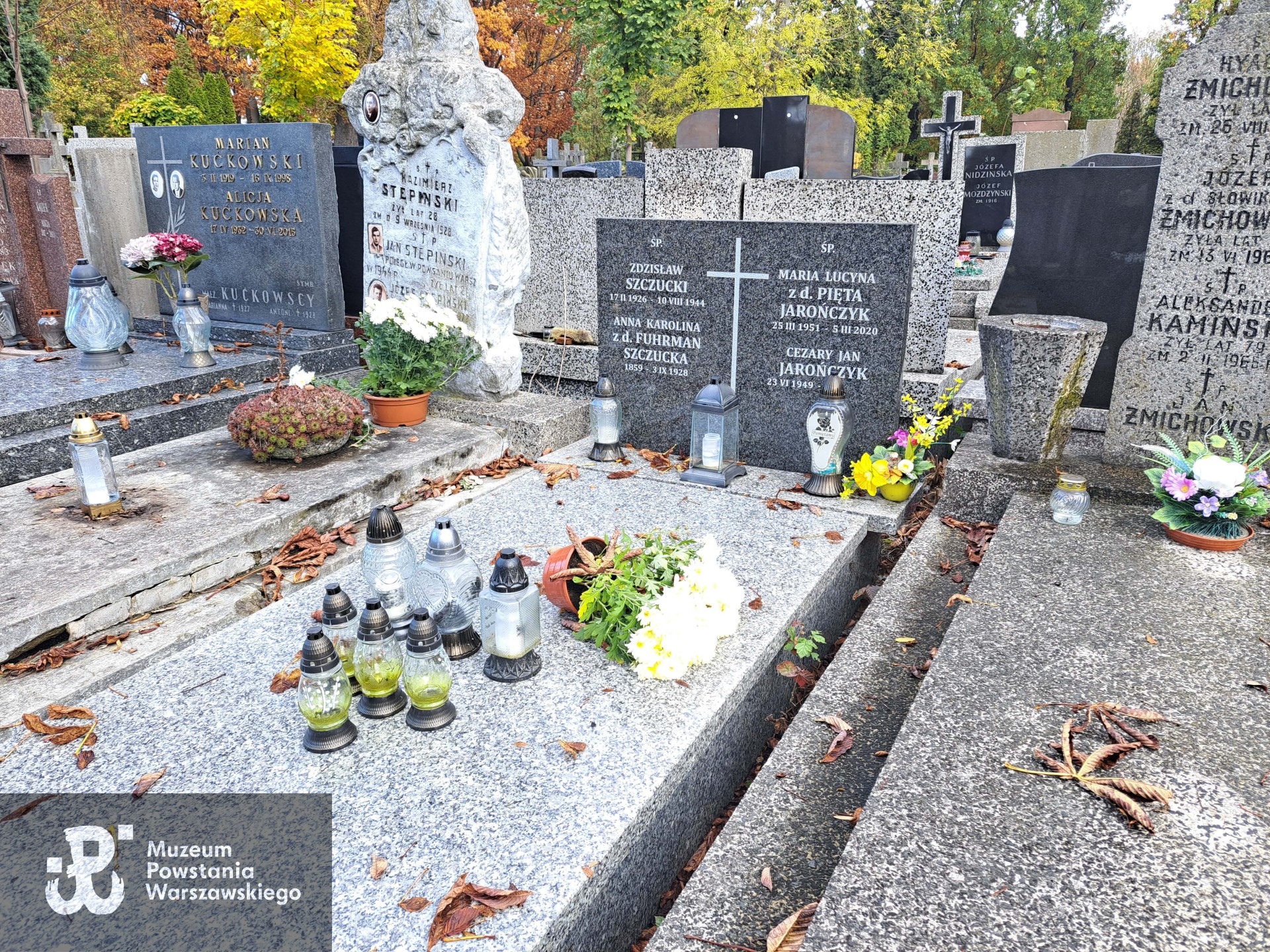 Źródło: Agnieszka Nowak.