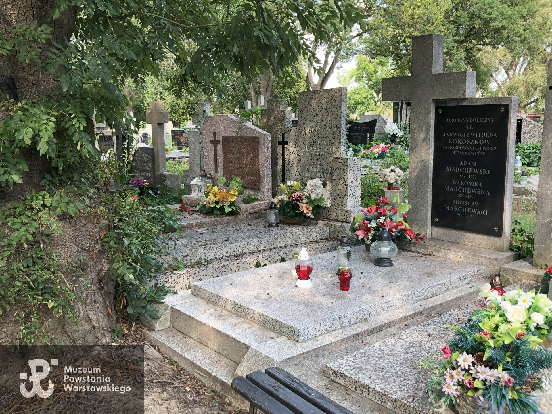 Źródło: Dorota Kotowska.