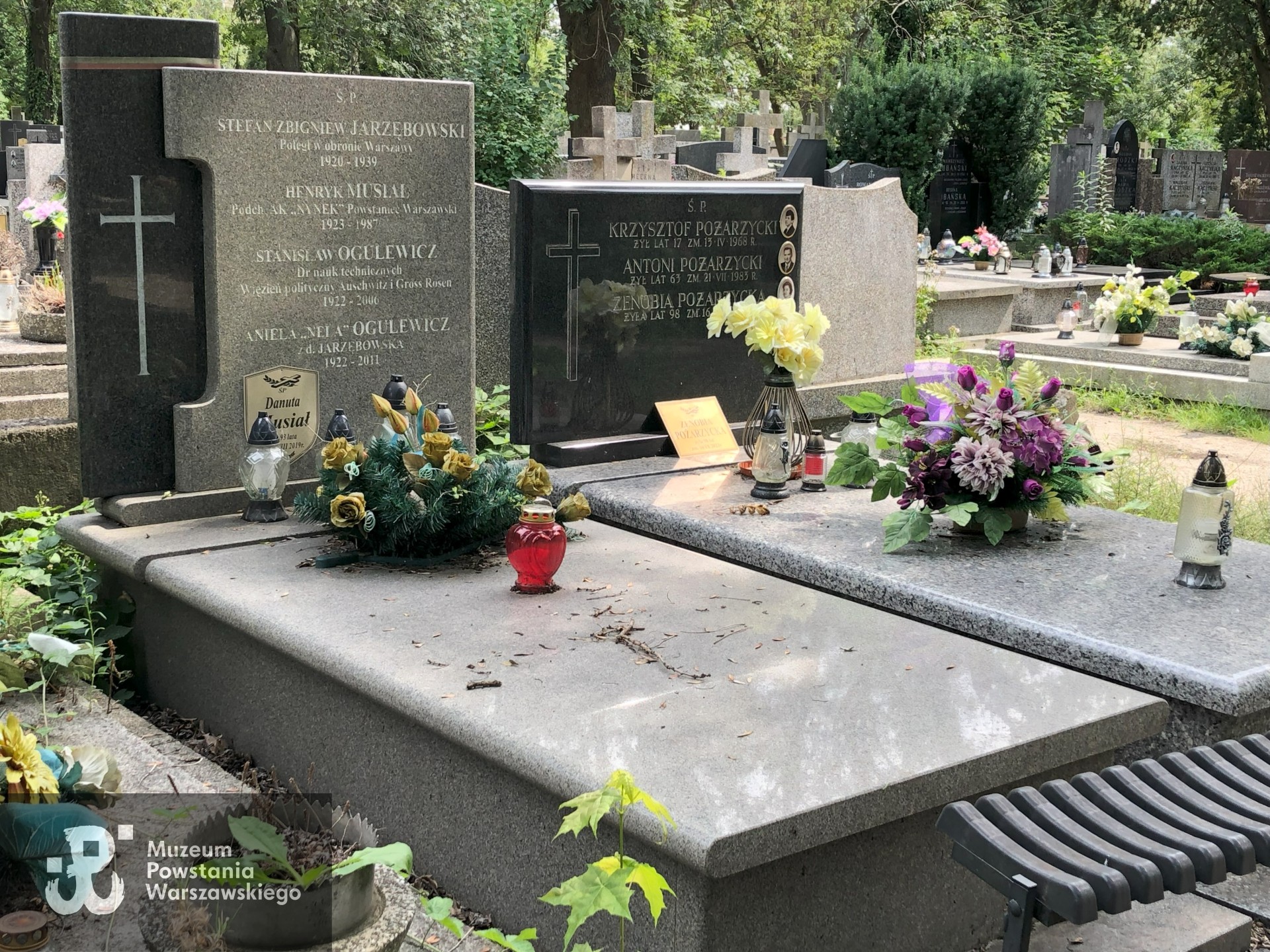 Źródło: Dorota Kotowska.