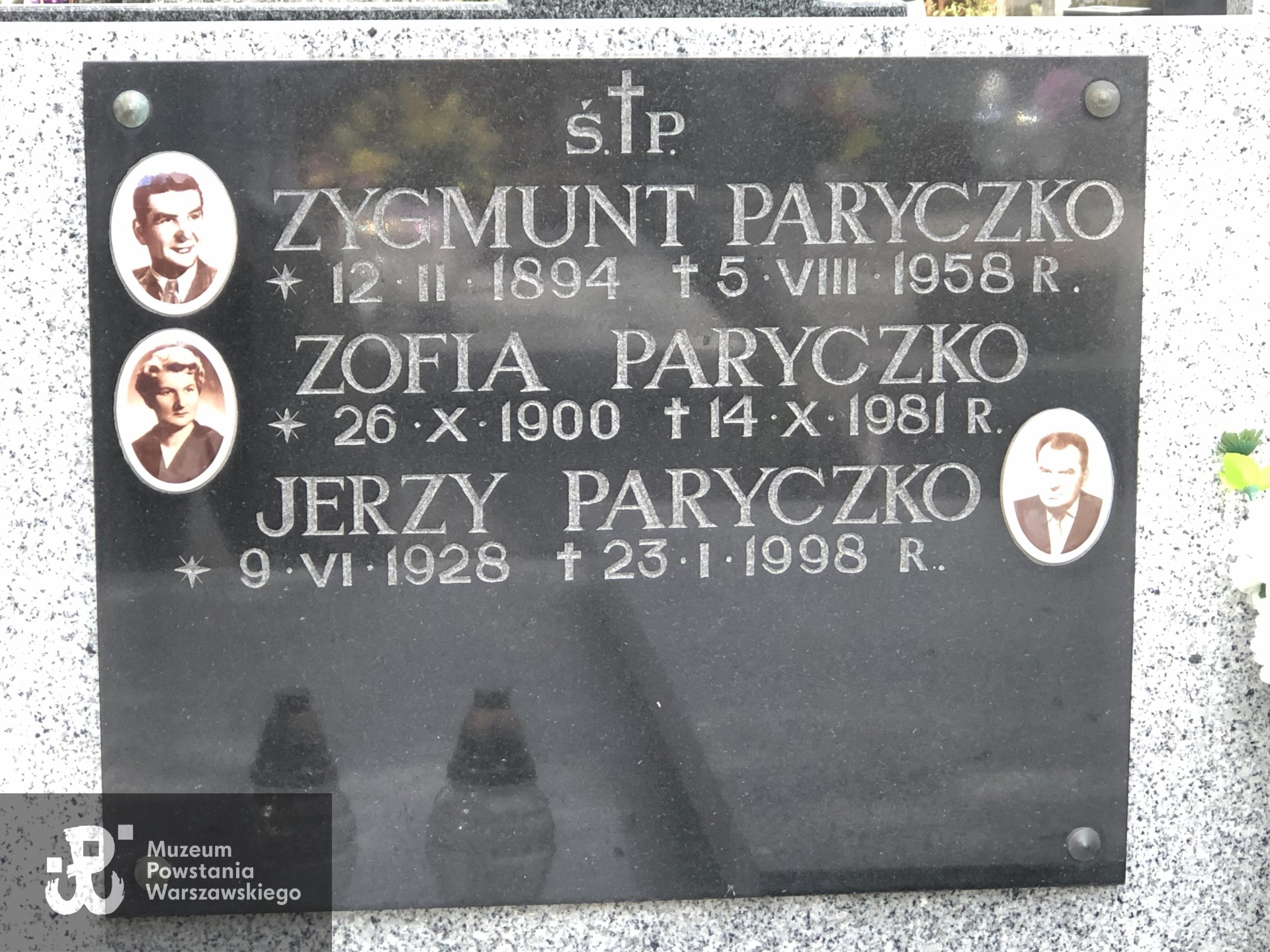 Źródło: Dorota Kotowska.