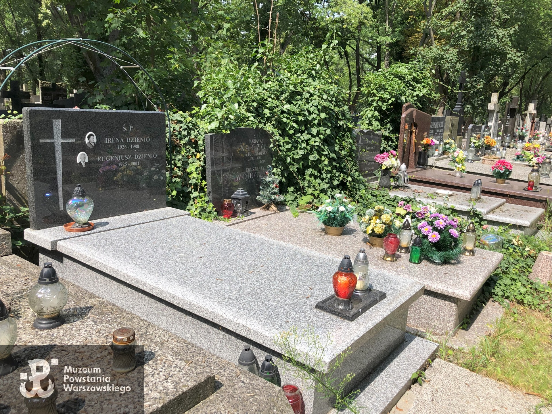 Źródło: Dorota Kotowska.