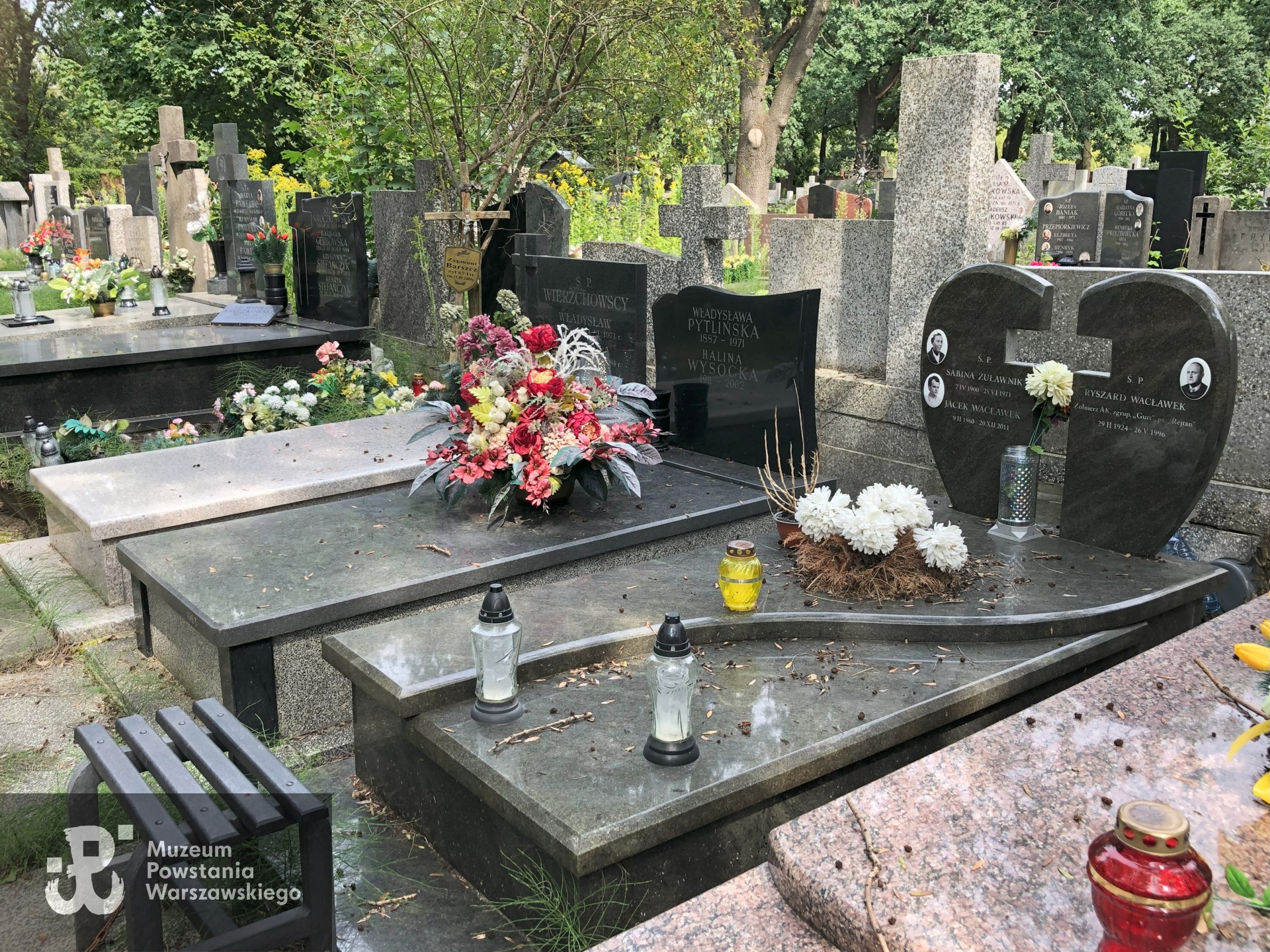 Źródło: Dorota Kotowska.