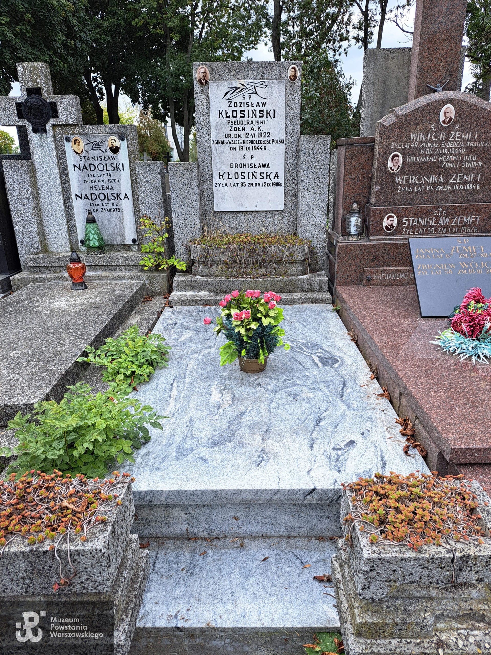 Źródło: Agnieszka Nowak.