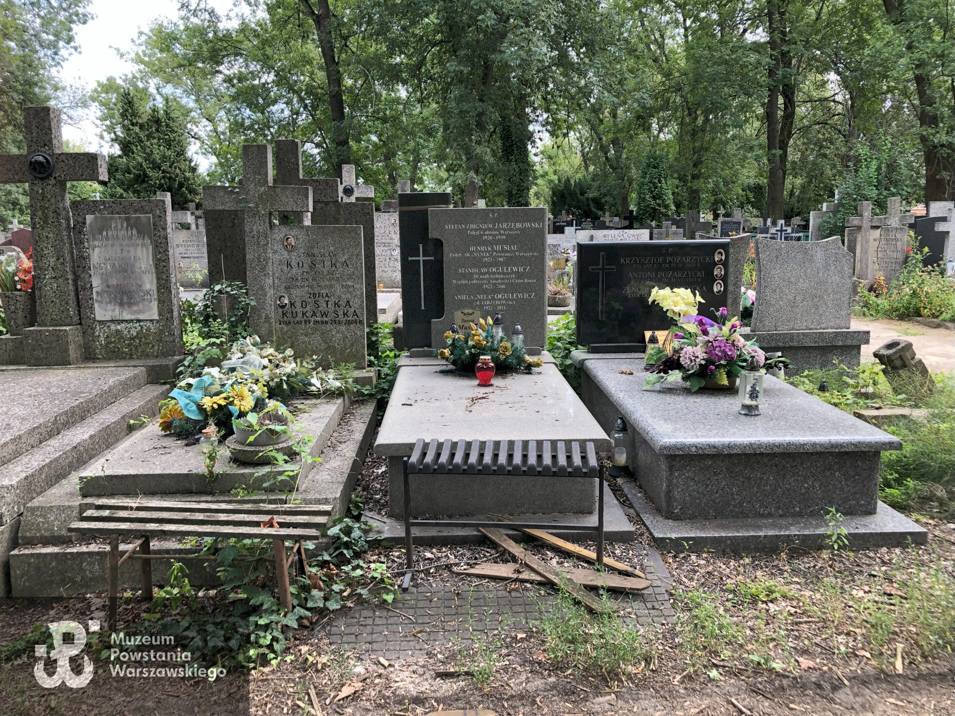 Źródło: Dorota Kotowska.