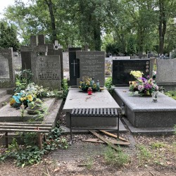 Źródło: Dorota Kotowska.