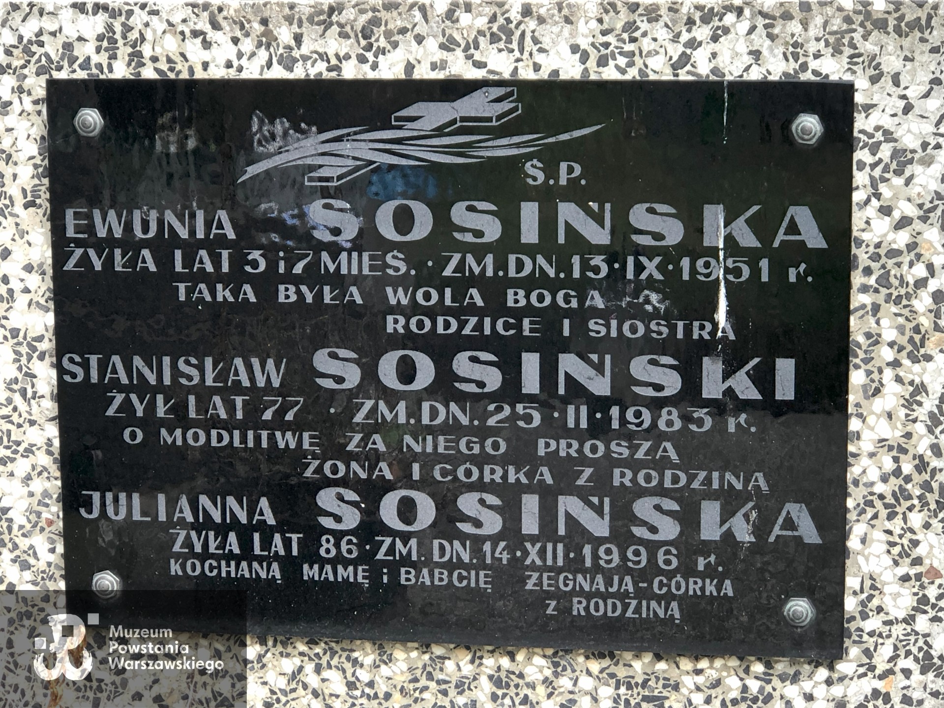 Źródło: Dorota Kotowska.