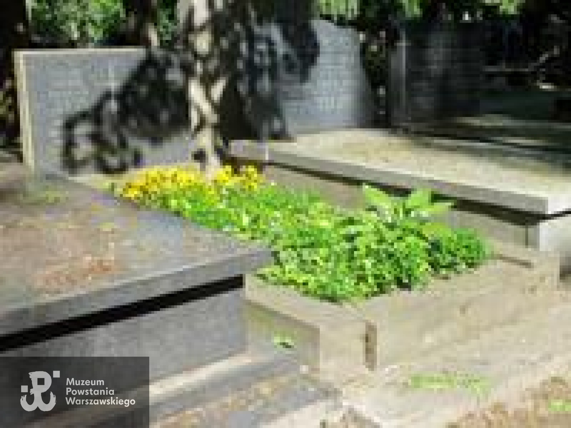 Źródło: https://cmentarze.um.warszawa.pl/pomnik.aspx?pom_id=39466 [dostęp: 10.04.2025].