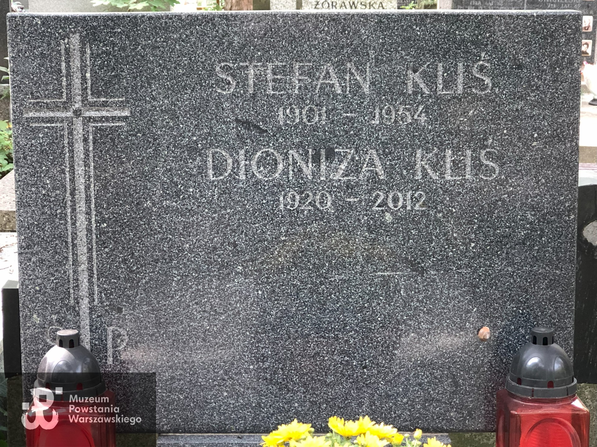 Źródło: Dorota Kotowska, Agnieszka Nowak.