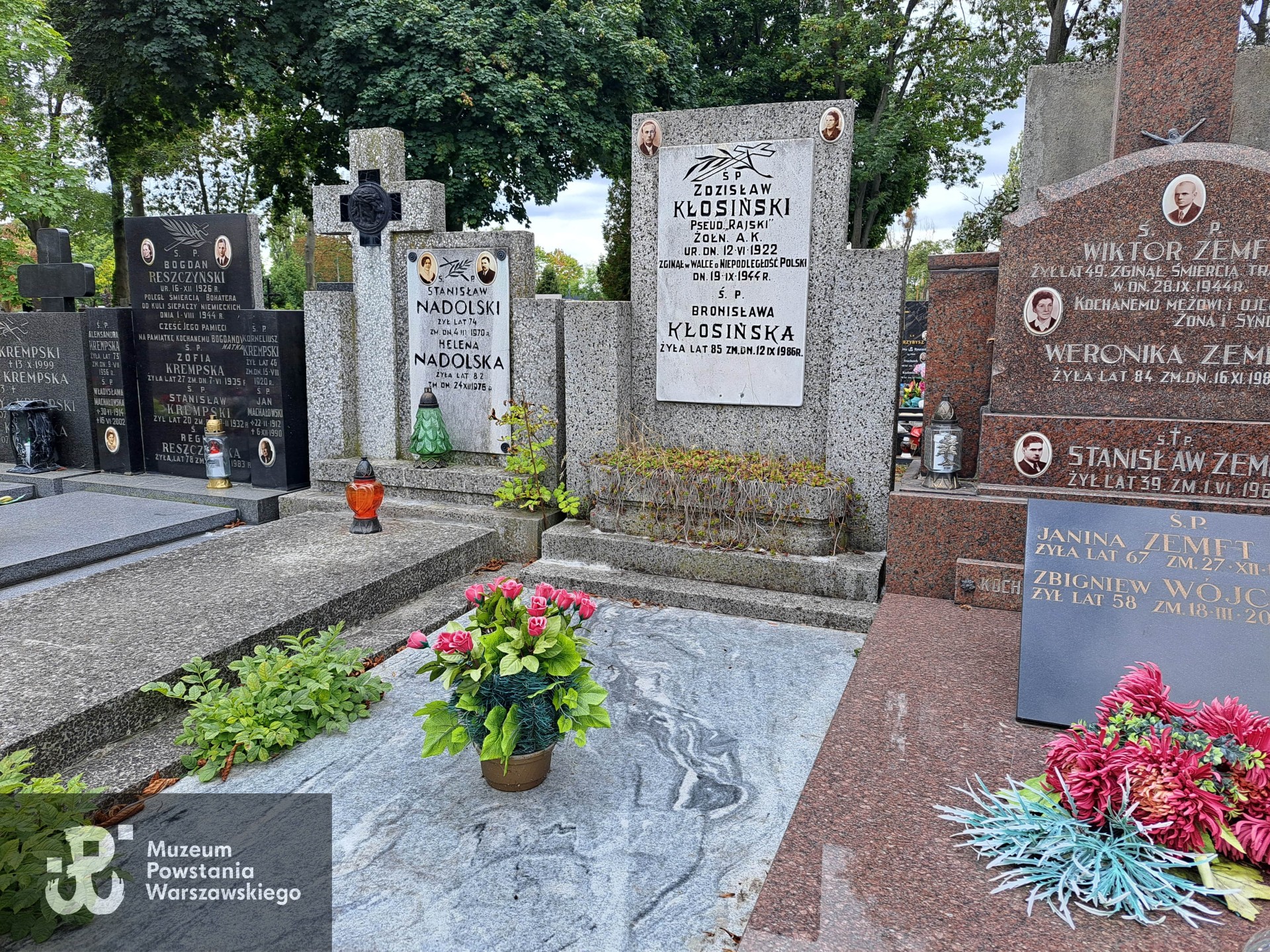 Źródło: Agnieszka Nowak.