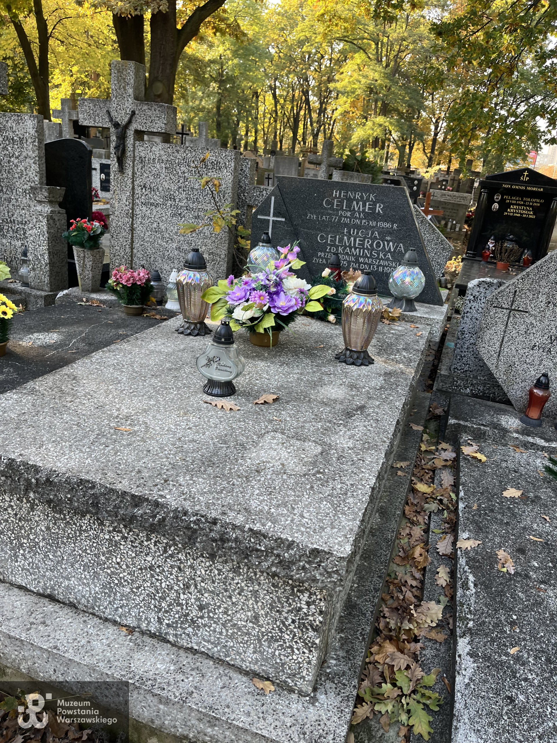 Źródło: Zespół Szkół nr 14 w Warszawie.