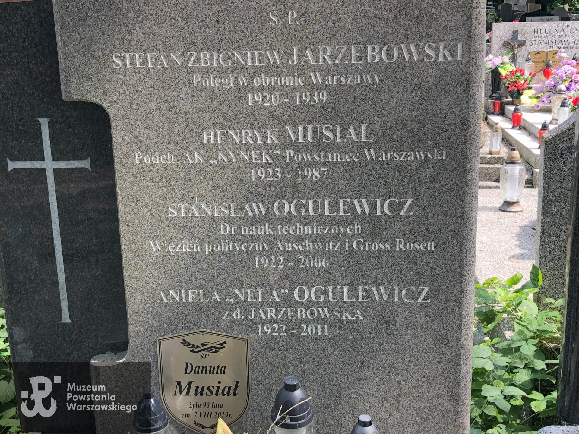 Źródło: Dorota Kotowska.