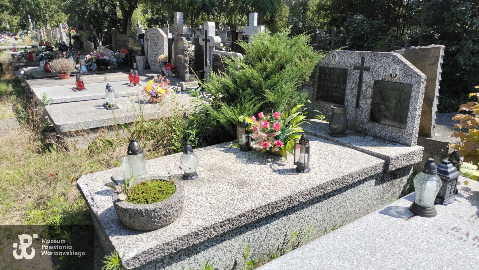 Źródło: Zespół Szkół nr 14 w Warszawie.