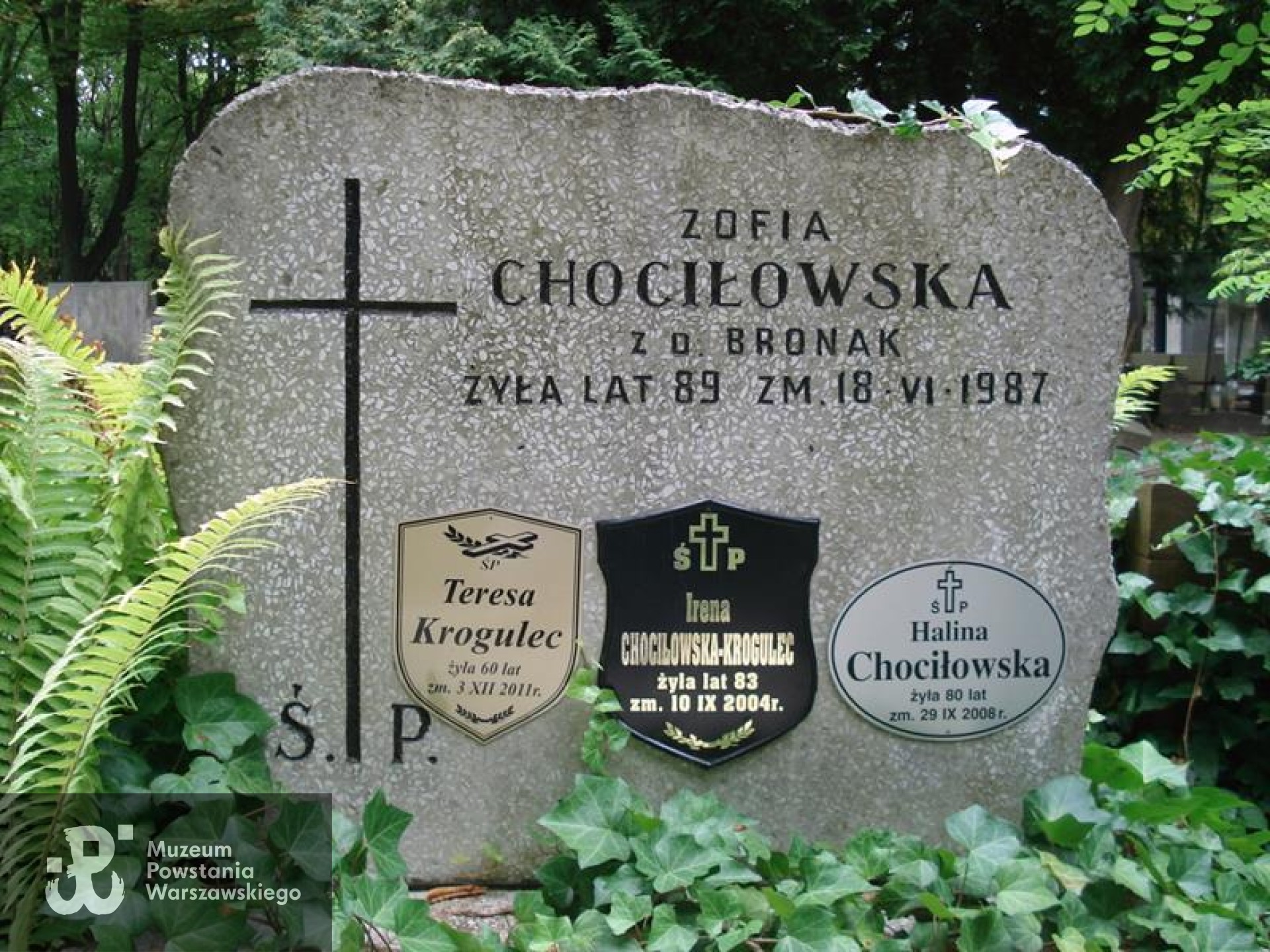 Źródło: https://cmentarze.um.warszawa.pl/pomnik.aspx?pom_id=34931 [dostęp: 02.09.2025].