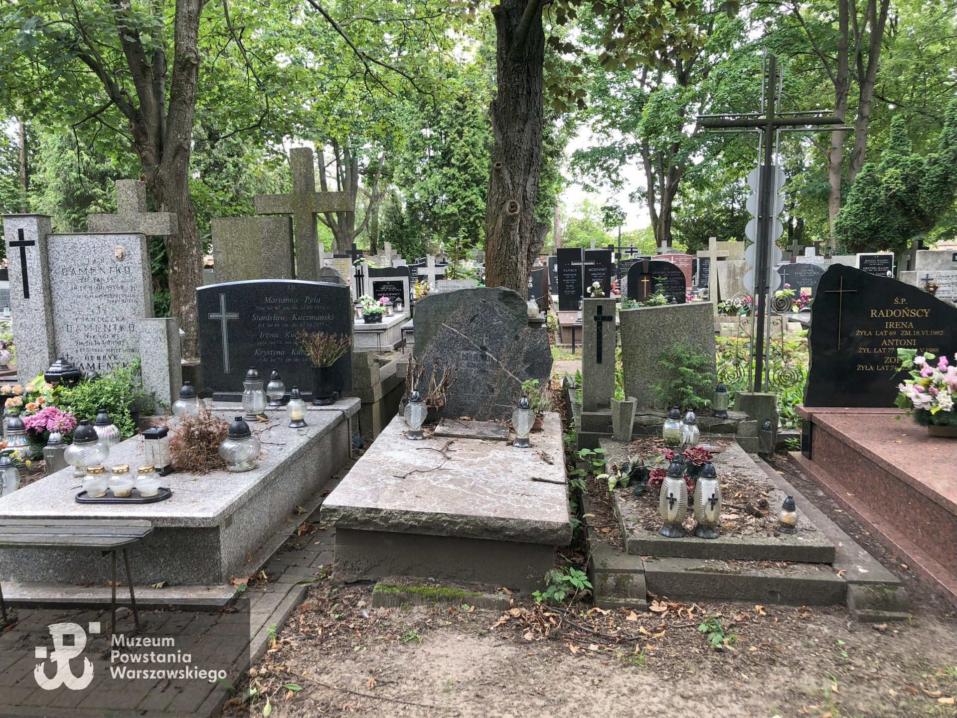 Źródło: Dorota Kotowska.