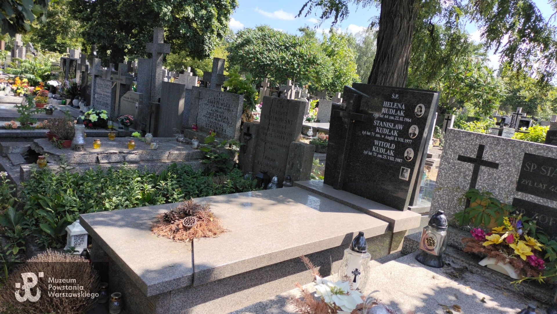 Źródło: Zespół Szkół nr 14 w Warszawie.