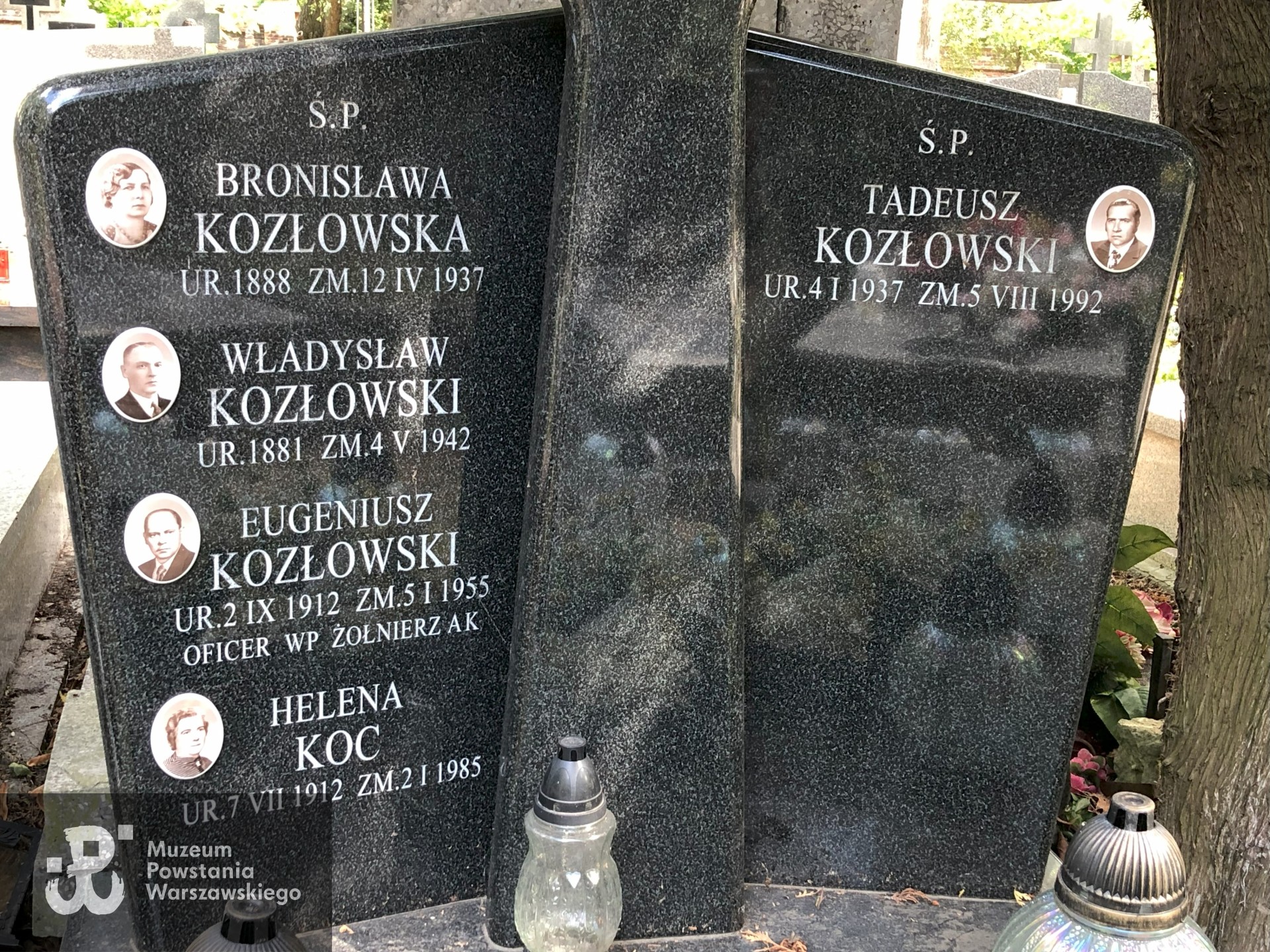 Źródło: Dorota Kotowska.