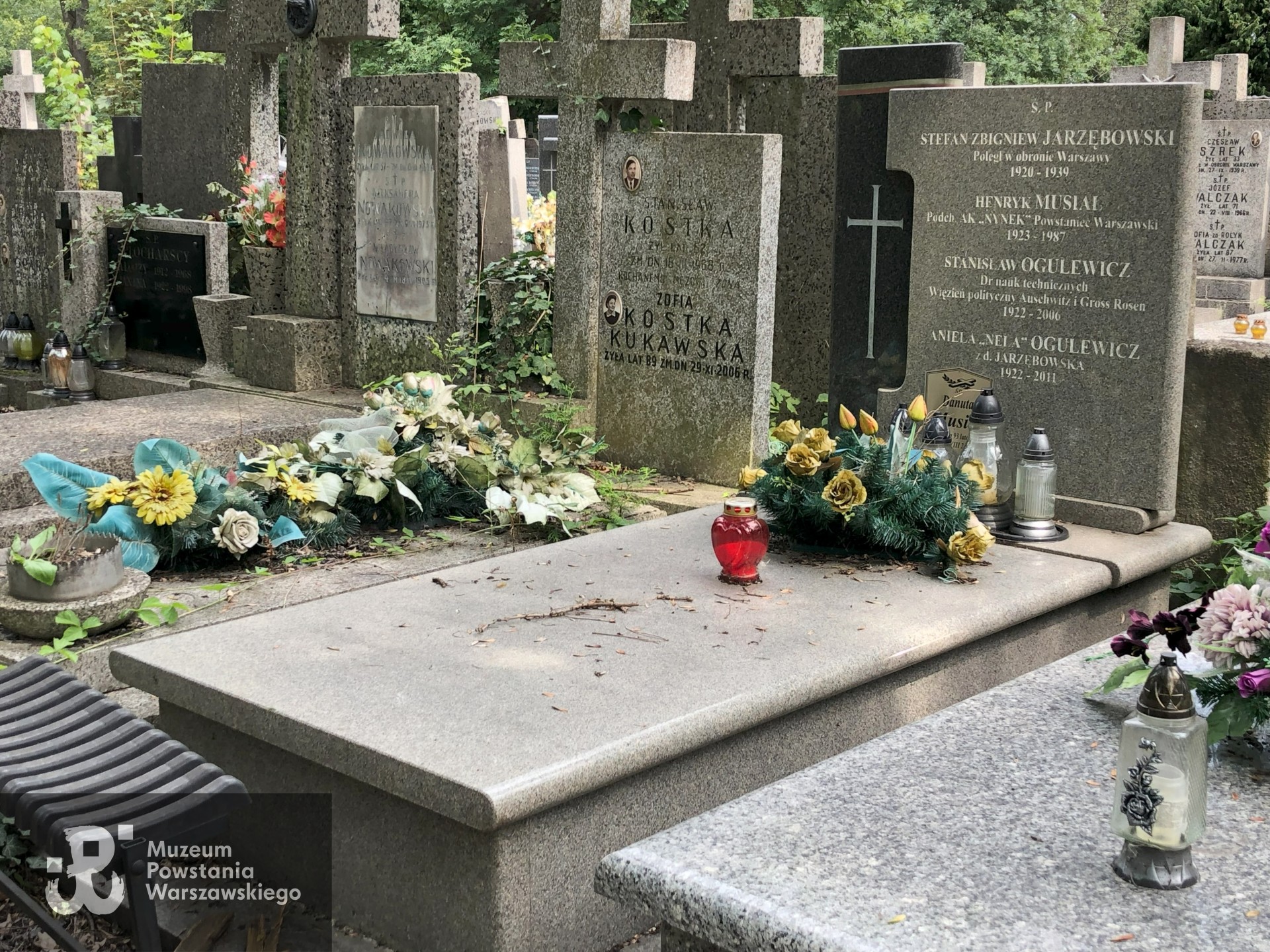 Źródło: Dorota Kotowska.