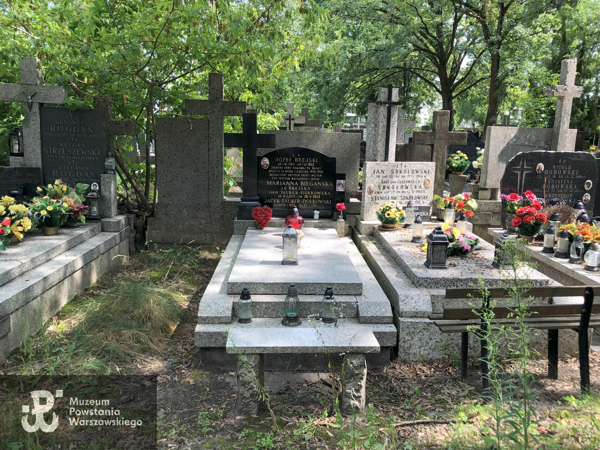 Źródło: Dorota Kotowska.