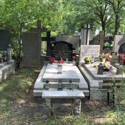 Źródło: Dorota Kotowska.