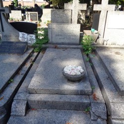 Źródło: https://cmentarze.um.warszawa.pl/pomnik.aspx?pom_id=51568 [dostęp: 16.04.2026].