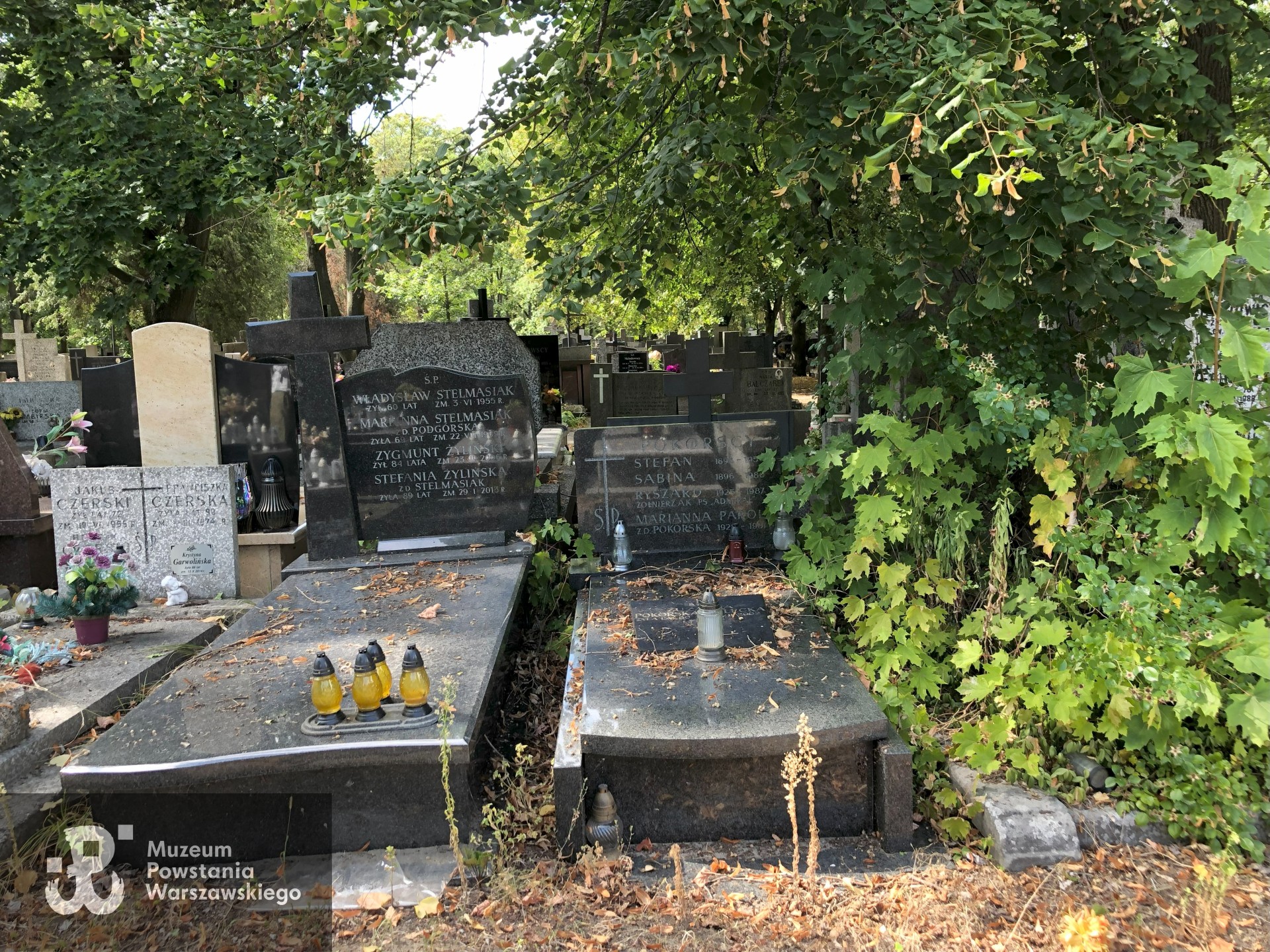 Źródło: Dorota Kotowska, Agnieszka Nowak.