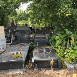 Źródło: Dorota Kotowska, Agnieszka Nowak.