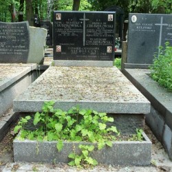 Źródło: https://cmentarze.um.warszawa.pl/pomnik.aspx?pom_id=39624 [dostęp: 05.09.2025].