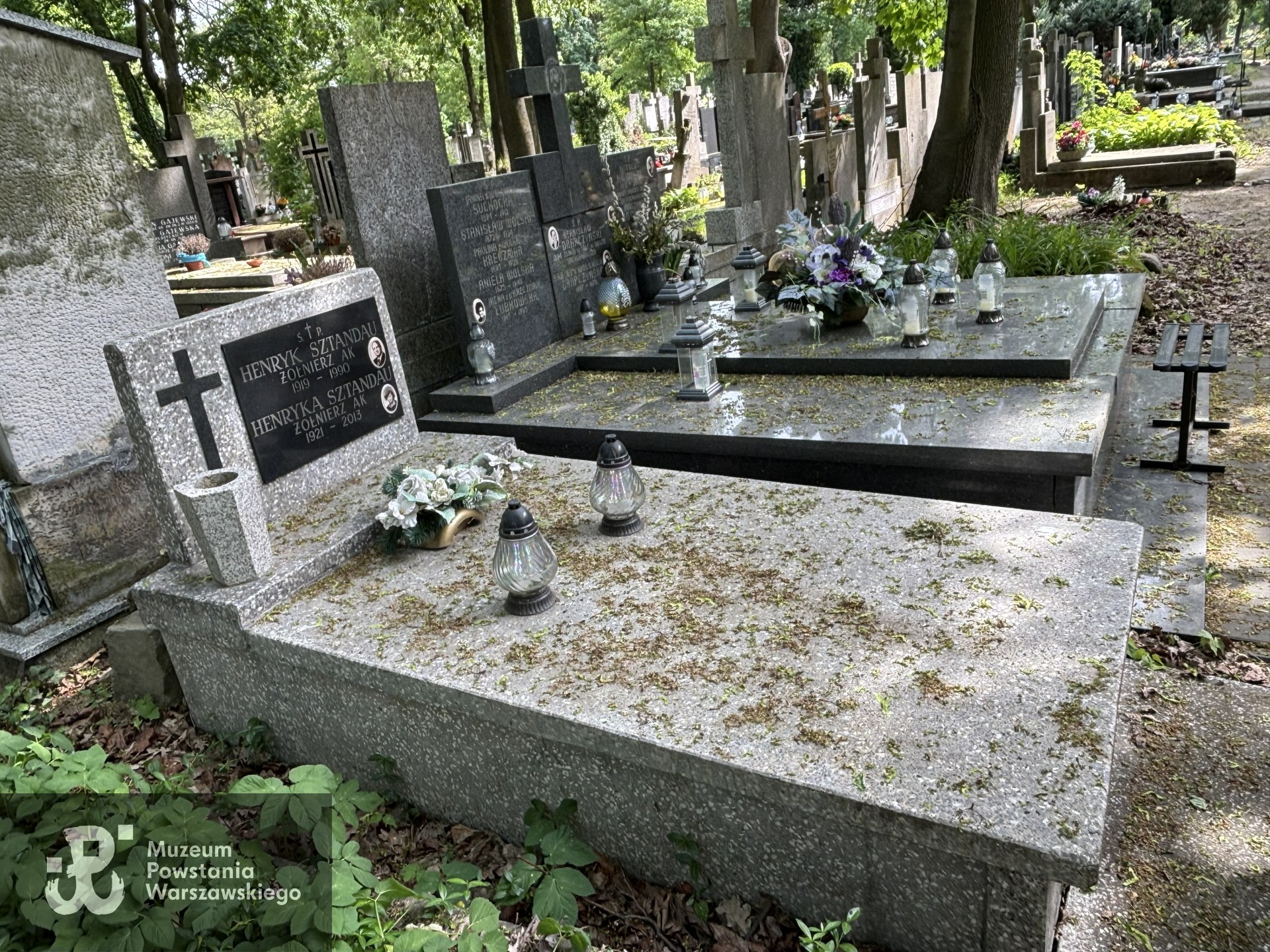 Źródło: VIII Liceum Ogólnokształcące im. Władysława IV w Warszawie.