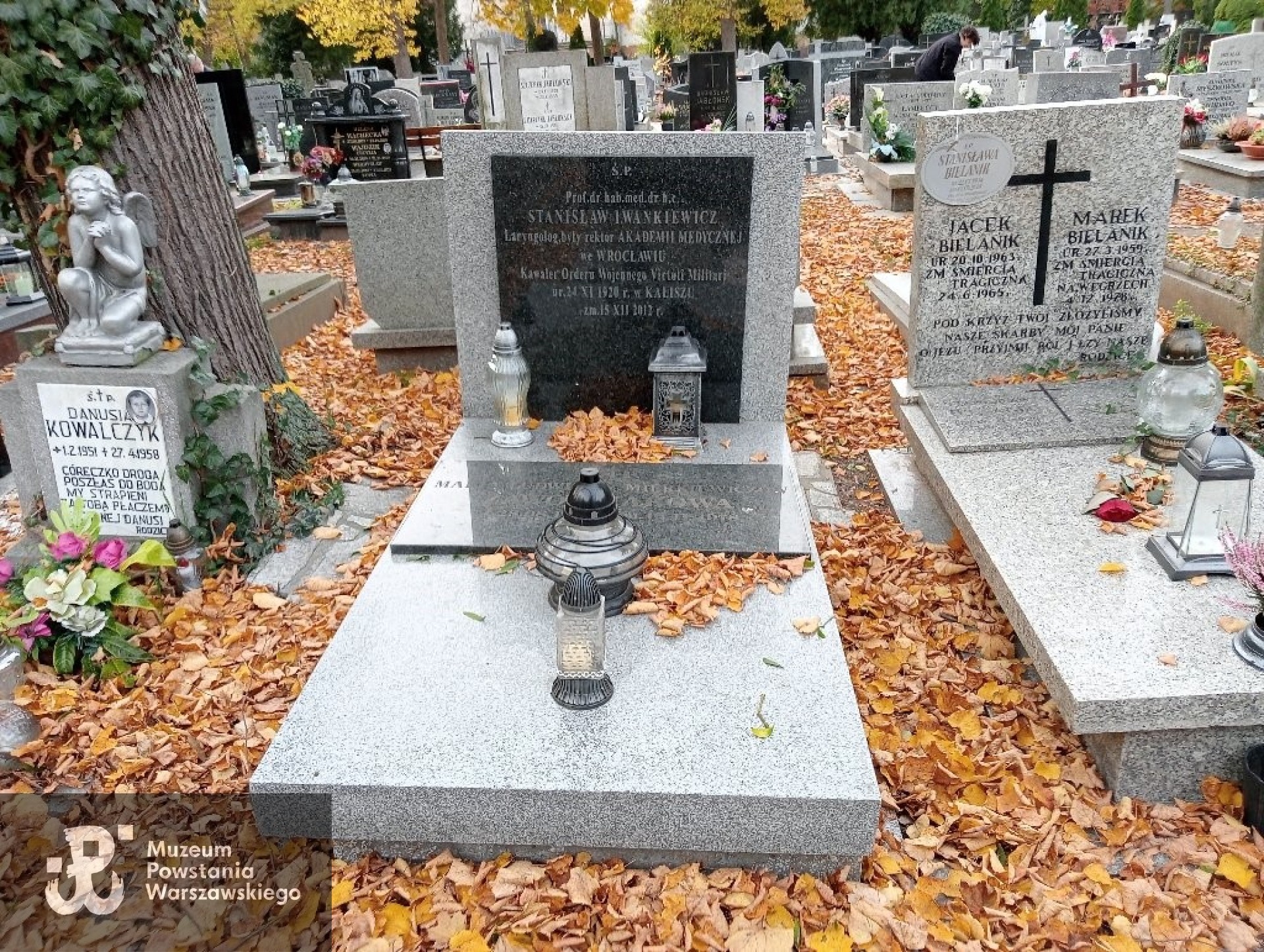 Źródło: https://wroclaw-katedra.grobonet.com/grobonet/start.php?id=detale&idg=22184&inni=0&cinki=0 [dostęp: 14.07.2026].