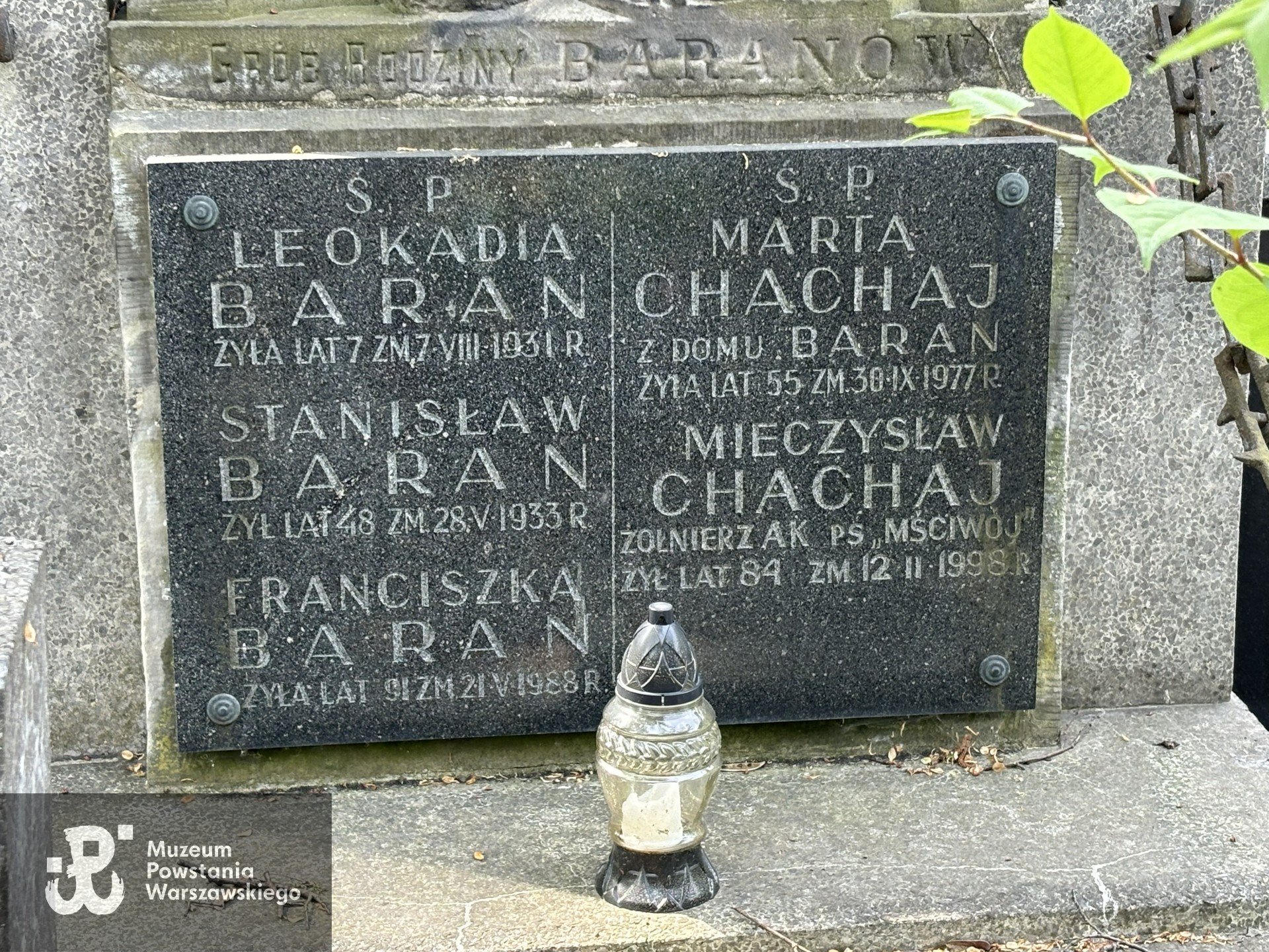 Źródło: VIII Liceum Ogólnokształcące im. Władysława IV w Warszawie.