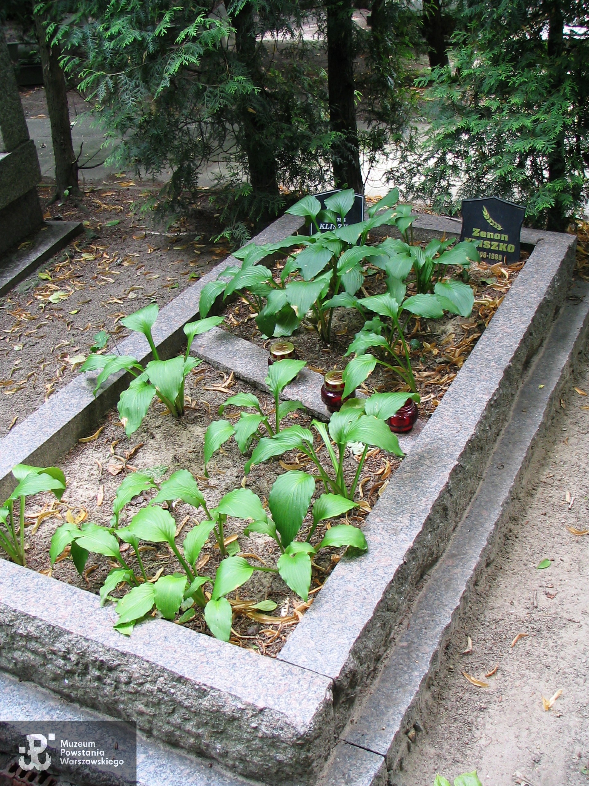 Źródło: https://pl.wikipedia.org/wiki/Zenon_Kliszko [dostęp: 1.04.2025].