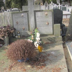 Cmentarz Kule w Częstochowie
Źródło: https://czestochowakule.grobonet.com/grobonet/start.php?id=detale&idg=17487 [dostęp: 09.02.2026].