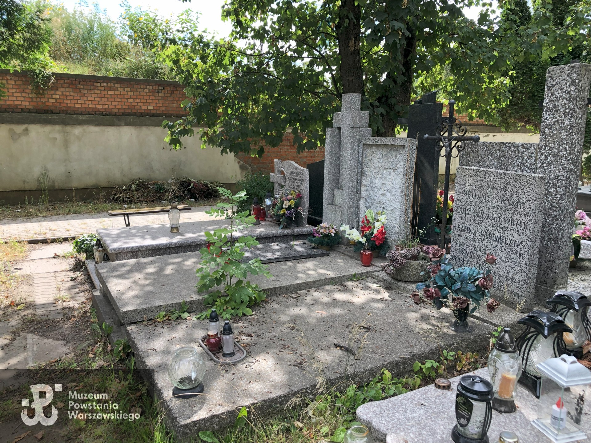 Źródło: Dorota Kotowska.