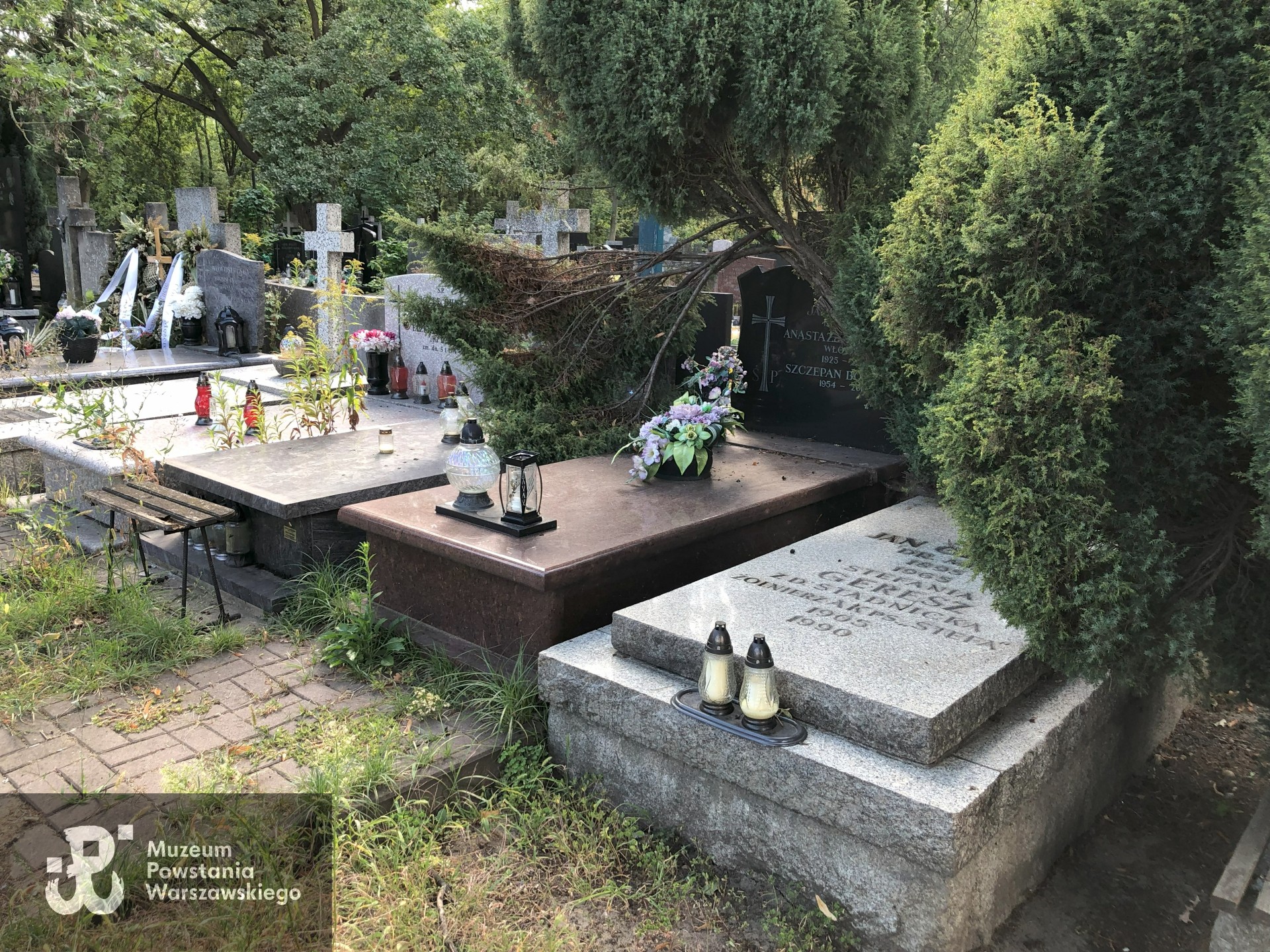 Źródło: Dorota Kotowska.