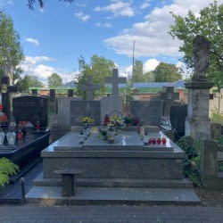 Źródło: Dorota Kotowska.