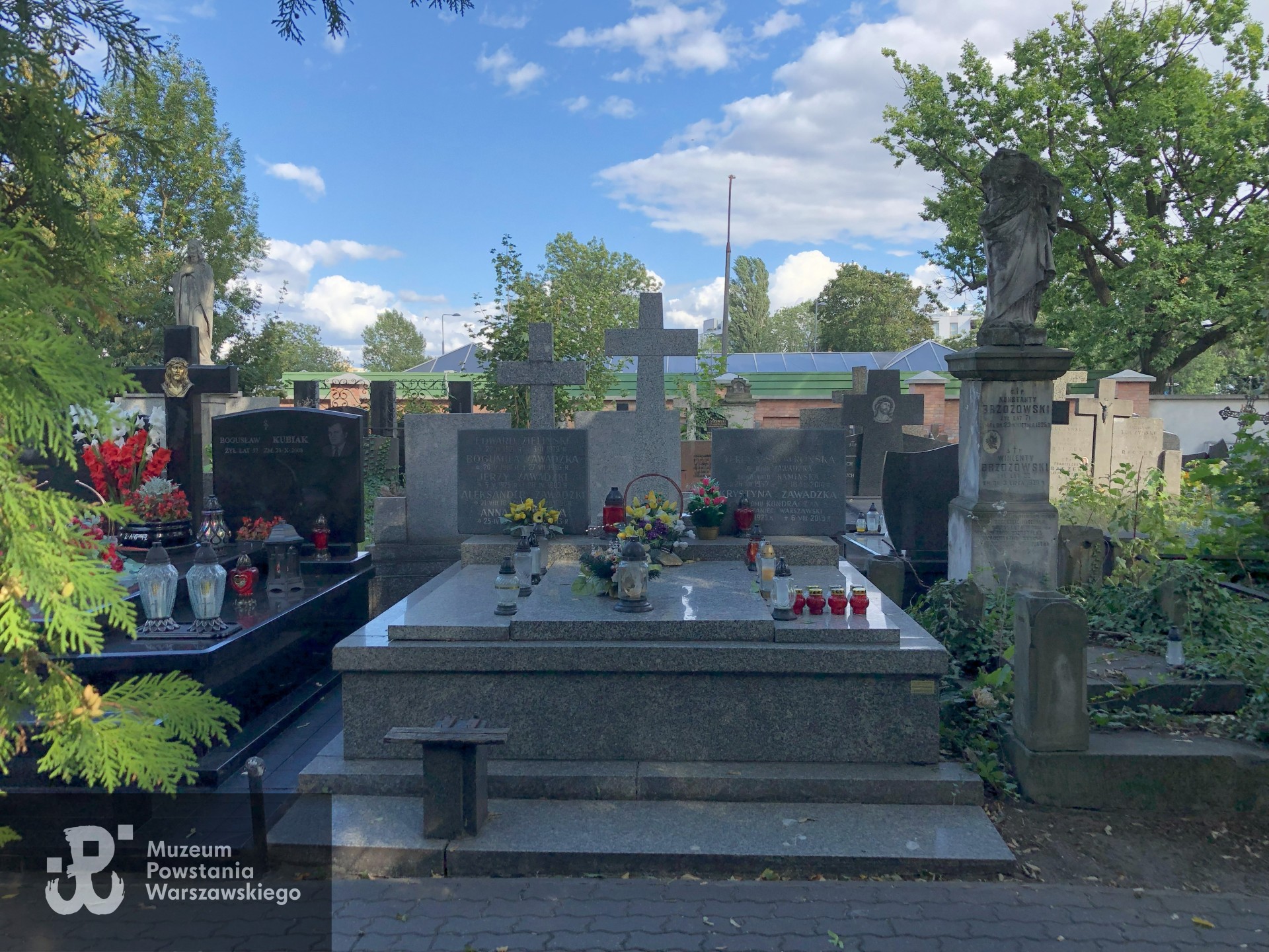 Źródło: Dorota Kotowska.