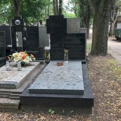 Źródło: Dorota Kotowska.