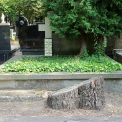 Źródło: https://cmentarze.um.warszawa.pl/pomnik.aspx?pom_id=32457 [dostęp: 10.04.2025].