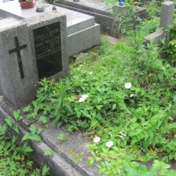 Źródło: https://krakowsalwator.grobonet.com/grobonet/start.php?id=detale&idg=13987&inni=0&cinki=0 [dostęp: 08.10.2025].