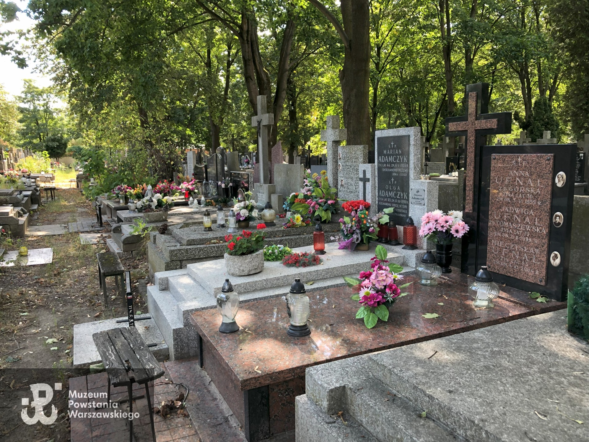 Źródło: Dorota Kotowska.