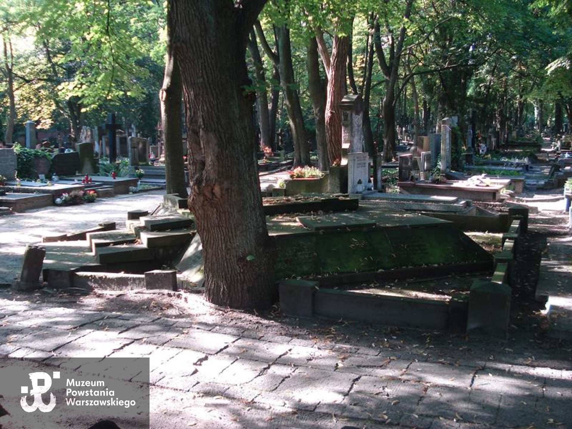 Źródło: https://cmentarze.um.warszawa.pl/pomnik.aspx?pom_id=45505 [dostęp: 26.06.2026].