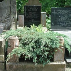 Źródło: https://cmentarze.um.warszawa.pl/pomnik.aspx?pom_id=42416 [dostęp: 05.02.2026].