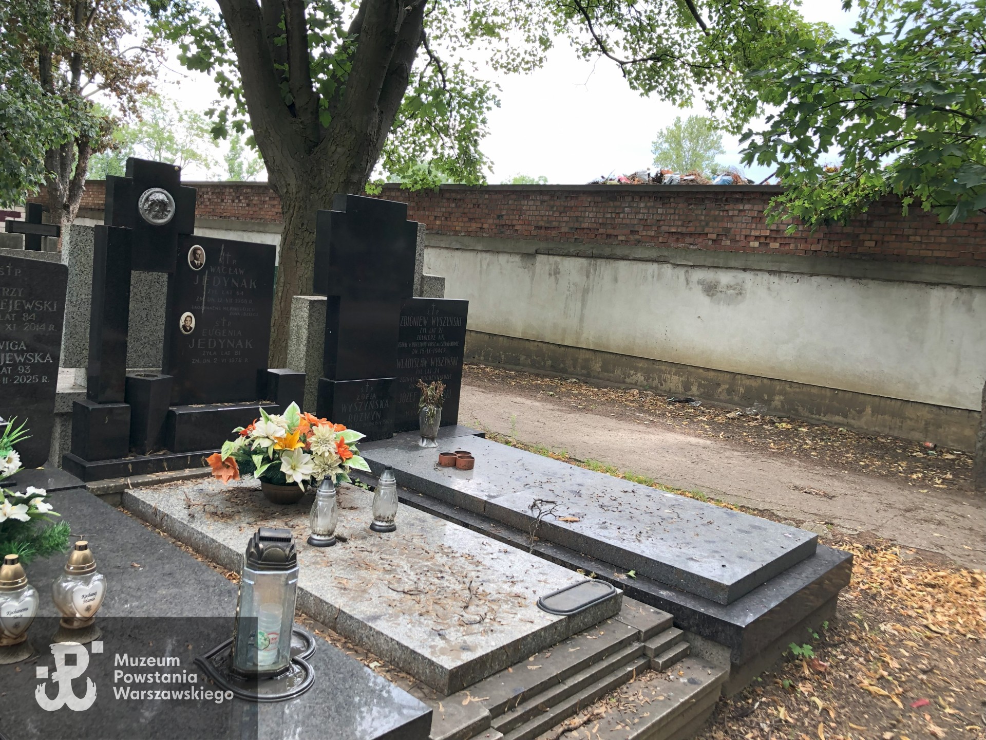 Źródło: Dorota Kotowska.